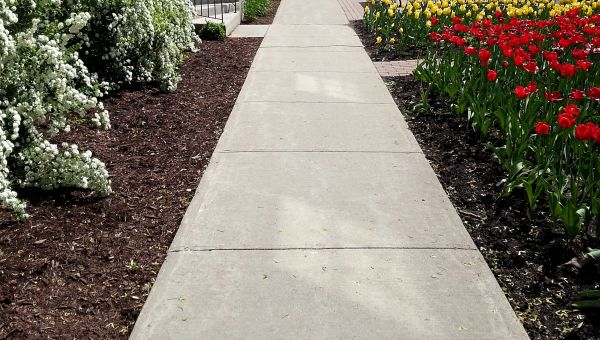 Cost of Sidewalk Slab Replacement in Yonkers