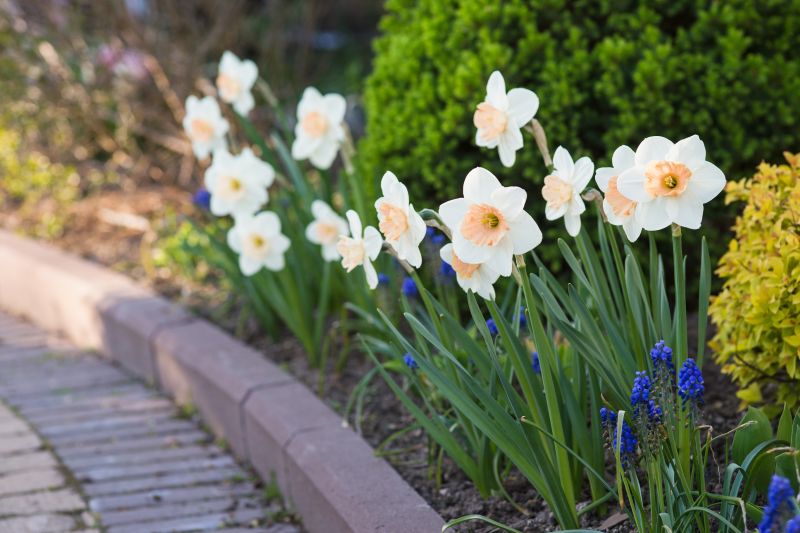 Yard Border Installation